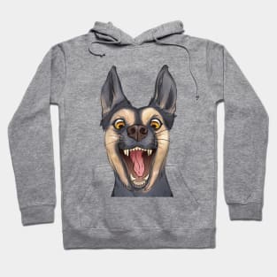 Dog Hoodie